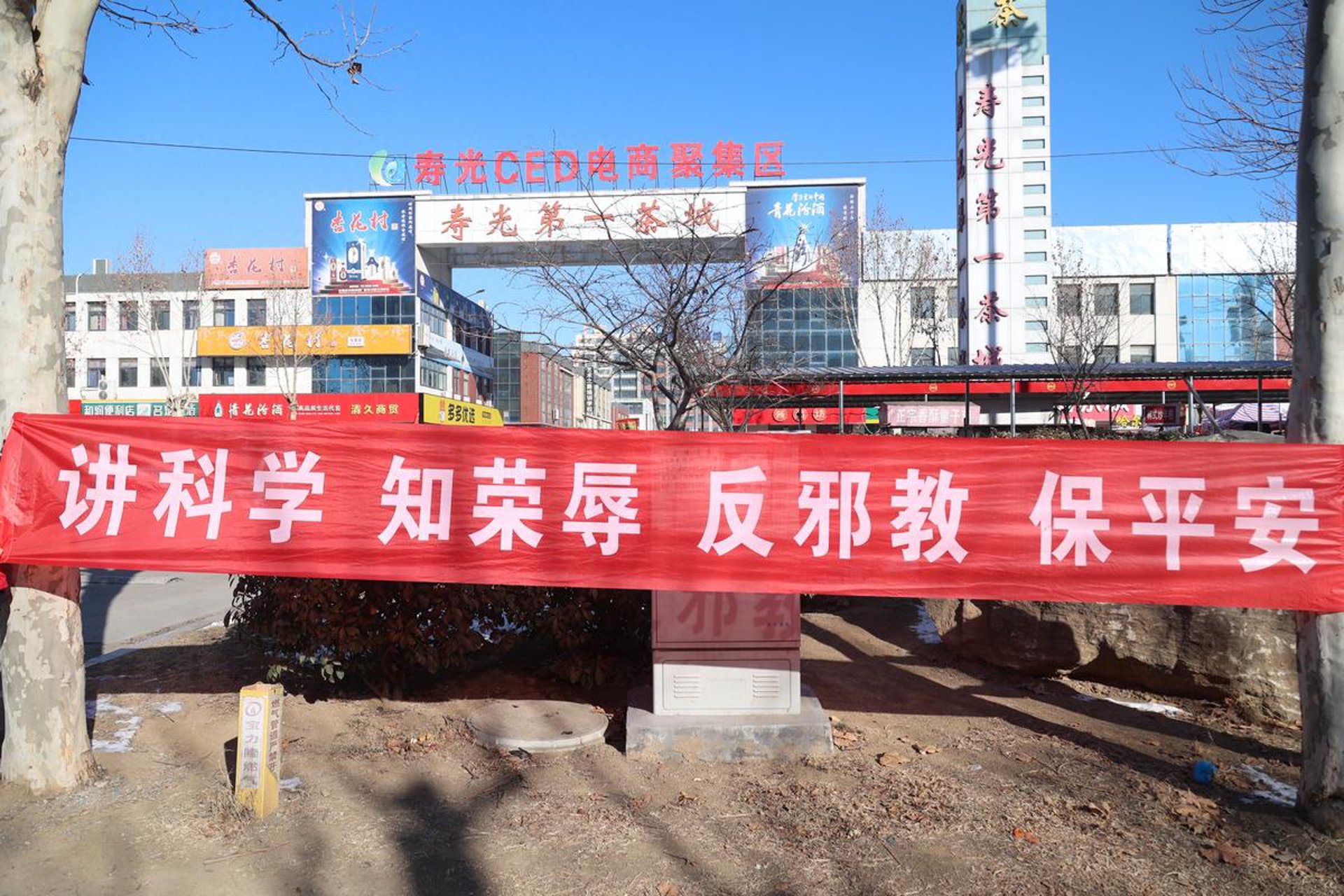 雷桑电商